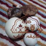 فروش سه عدد سنگ سفید گرد