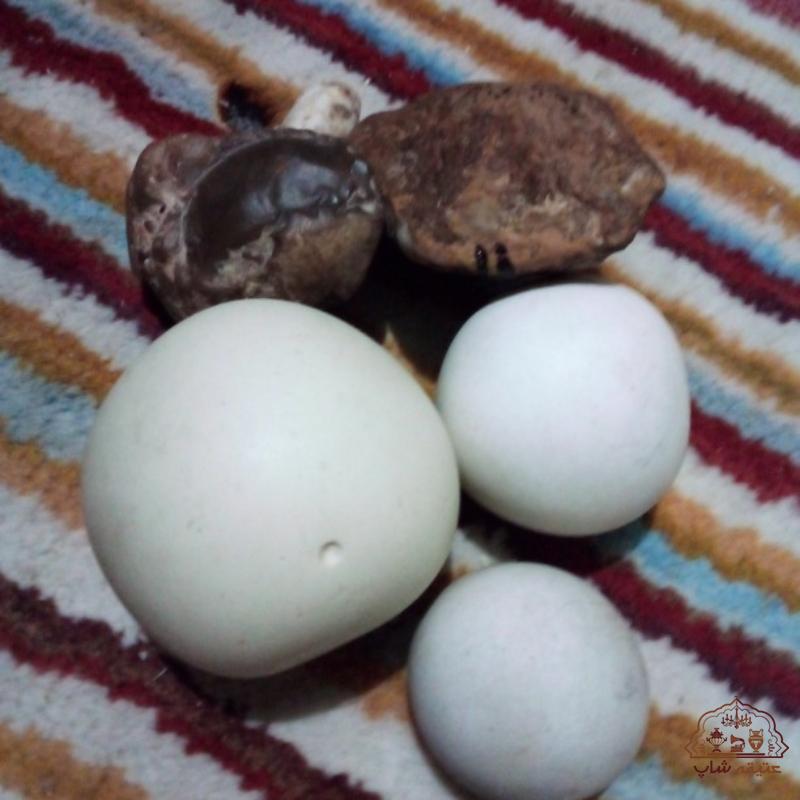 فروش سه عدد سنگ سفید گرد