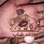 فروش سه عدد سنگ سفید گرد