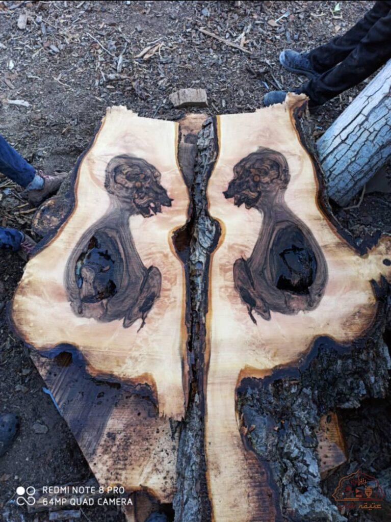 شمایل جنین انسان