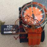 ساعت  فستینا    مردانه  بند چرم  اصل  اورجینال   مدل   F16604/3 با  جعبه و شناسنامه
