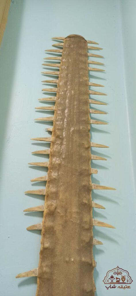 تیغ یا آرواره اره ماهی