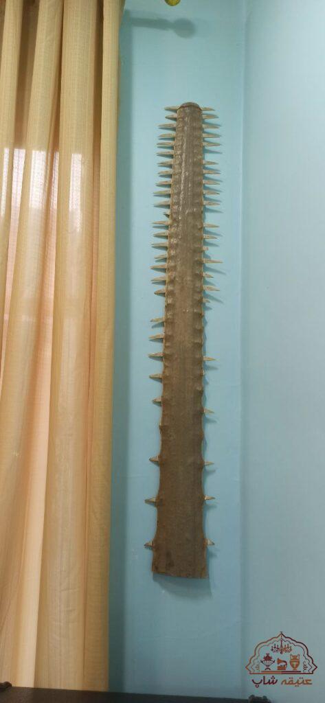 تیغ یا آرواره اره ماهی