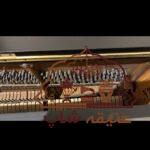 پیانو بک اشتاین bechstein