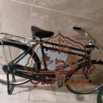 دوچرخه سه مار فونیکس نو نو