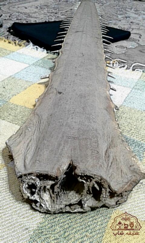 تیغه اره ماهی