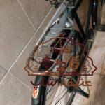 دوچرخه سه مار فونیکس نو نو